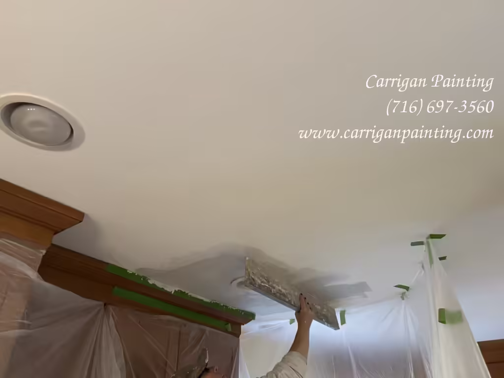 professional ceiling repair in Roxbury Park, East Amherst NY 14051