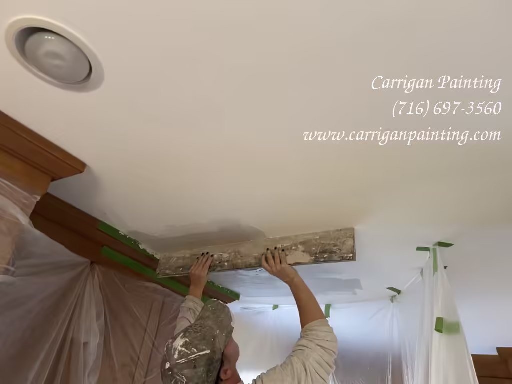 professional ceiling repair in Roxbury Park, East Amherst NY 14051