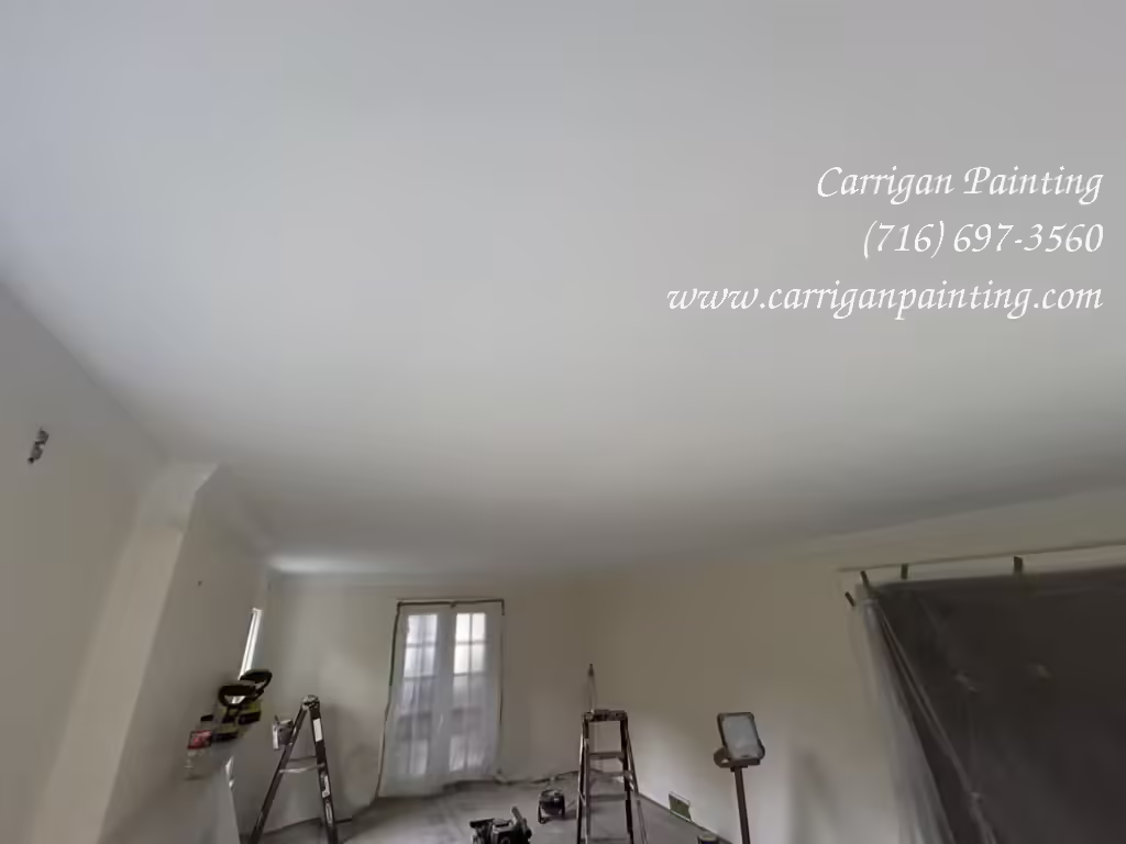 Ceiling painting in Snyder NY 14226