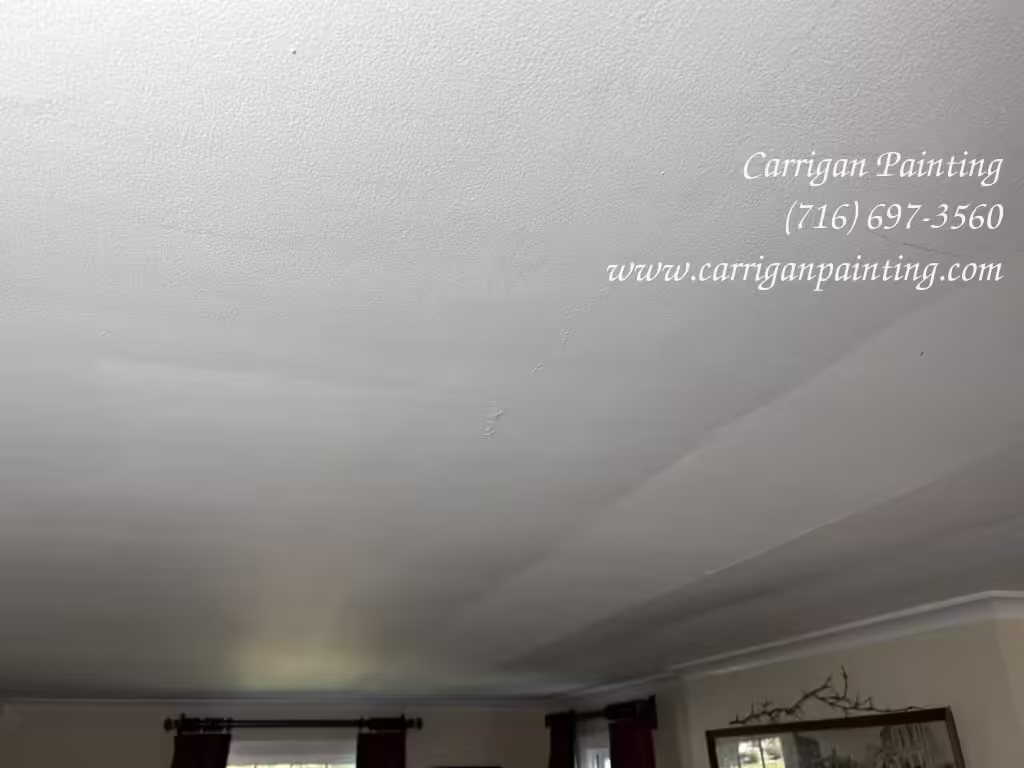 Plaster ceiling failure in Snyder NY 14226