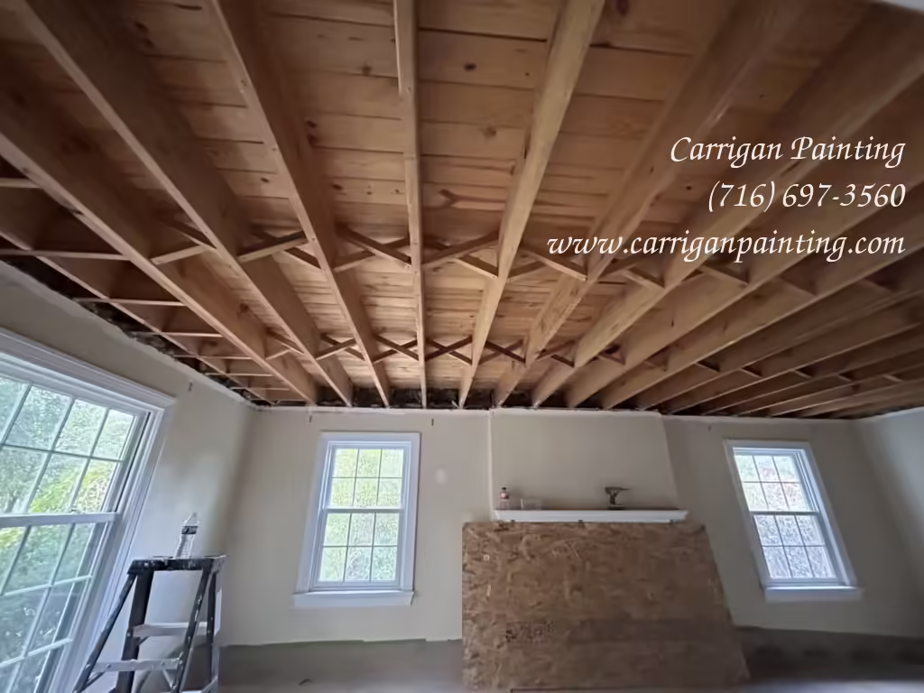 Plaster Ceiling Removed from living room in Snyder NY 14226