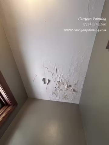 water damage to plaster ceiling from a roof leak in Tonawanda NY