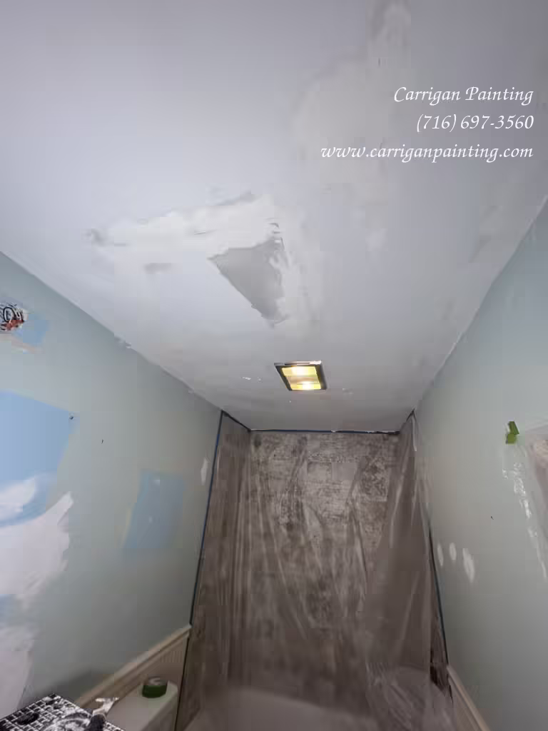 bathroom ceiling before