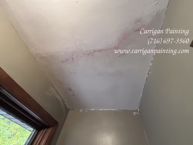 Carrigan Painting's Plaster Repair Portfolio