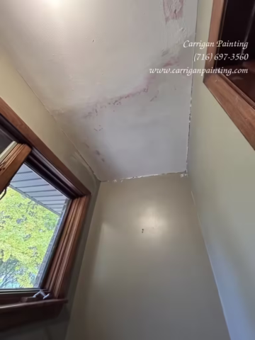 Carrigan Painting's Plaster Repair Portfolio