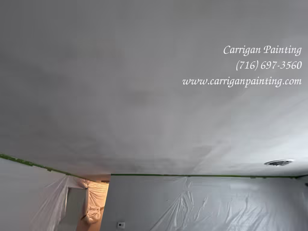 Cheektowaga NY: Drywall Patch in a Plaster Ceiling - Skim Coating