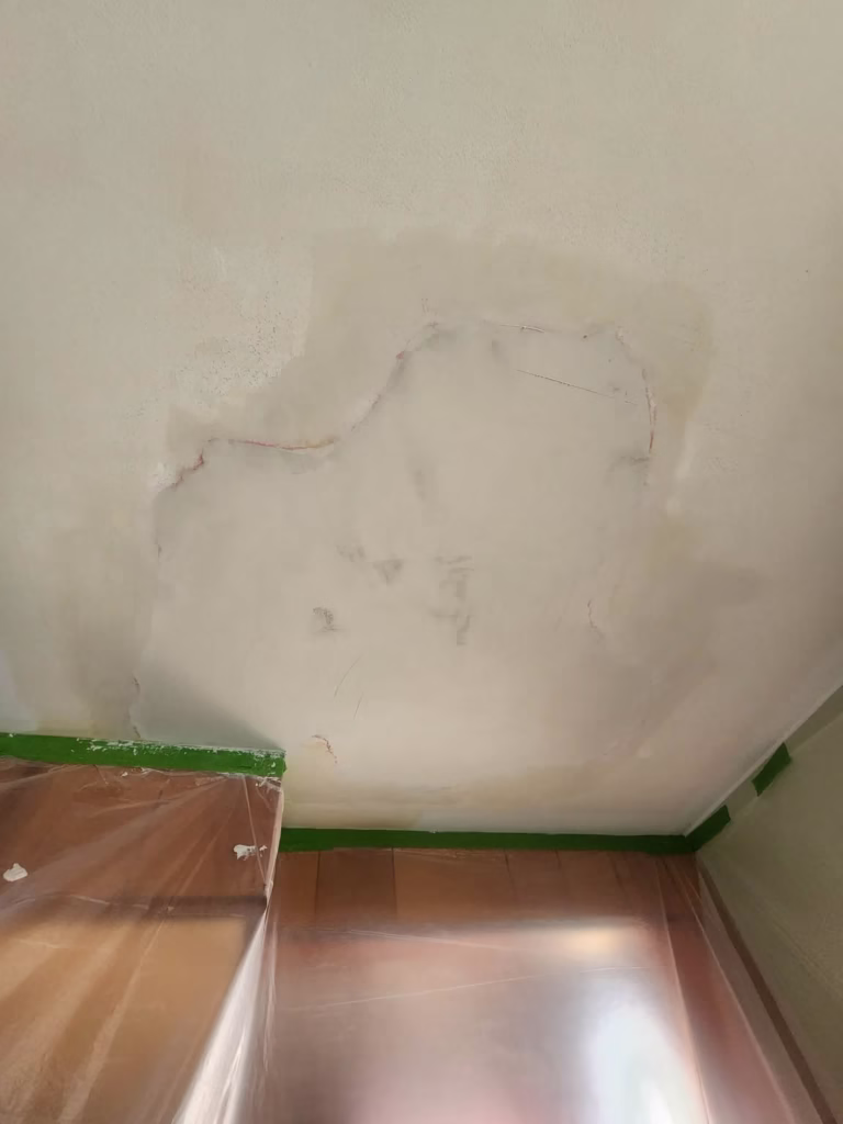 Water Damaged Plaster Repair - WNY