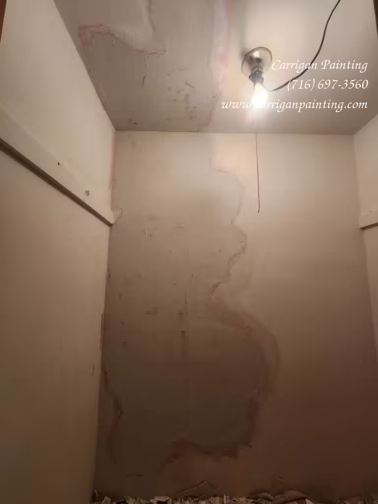 Water Damaged Plaster Repair