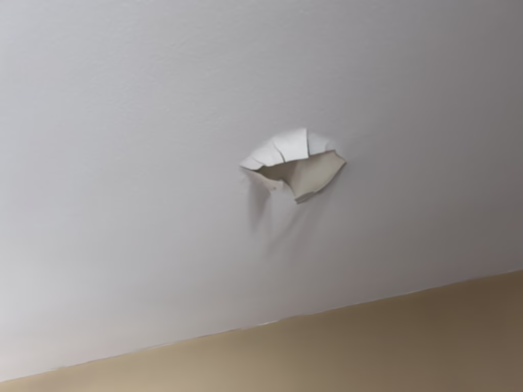 blistered paint on plaster ceiling