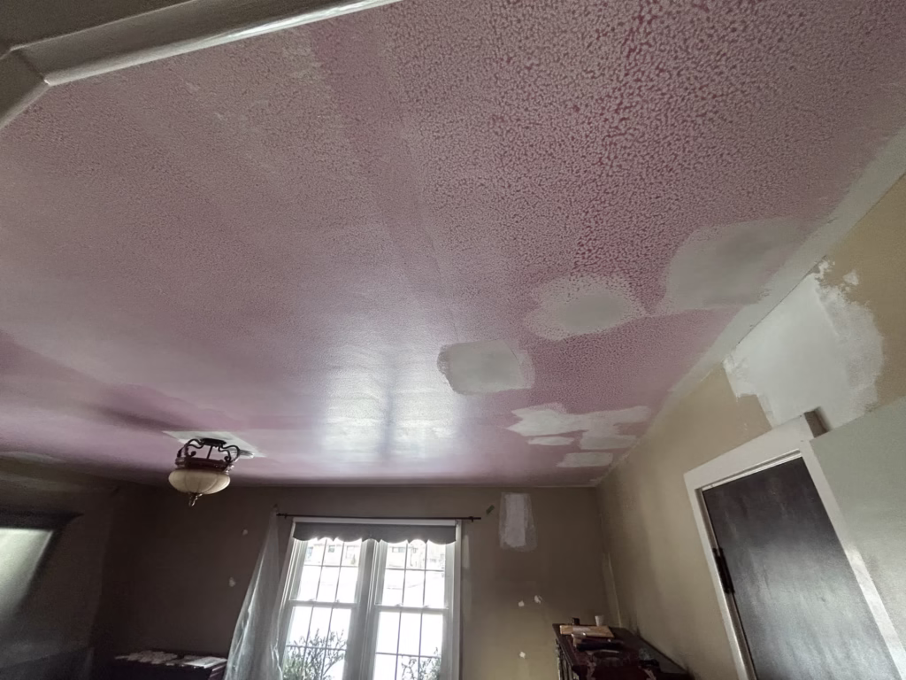 Getzville NY: Ceiling Restoration and Painting