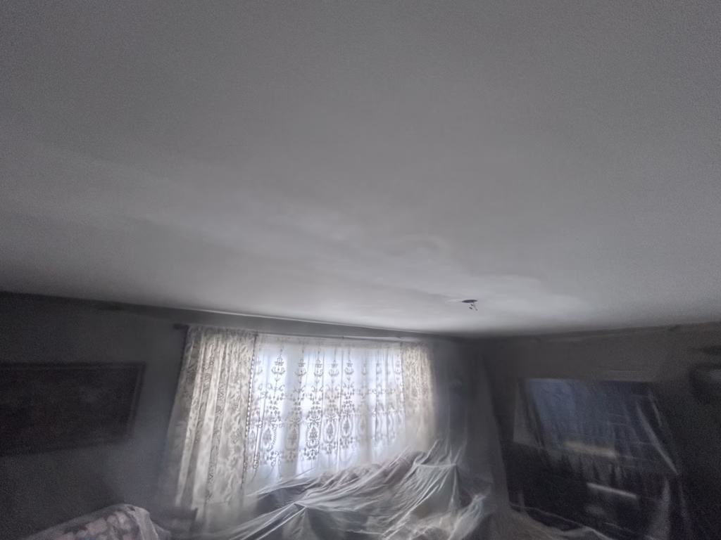 Getzville NY: Ceiling Restoration and Painting