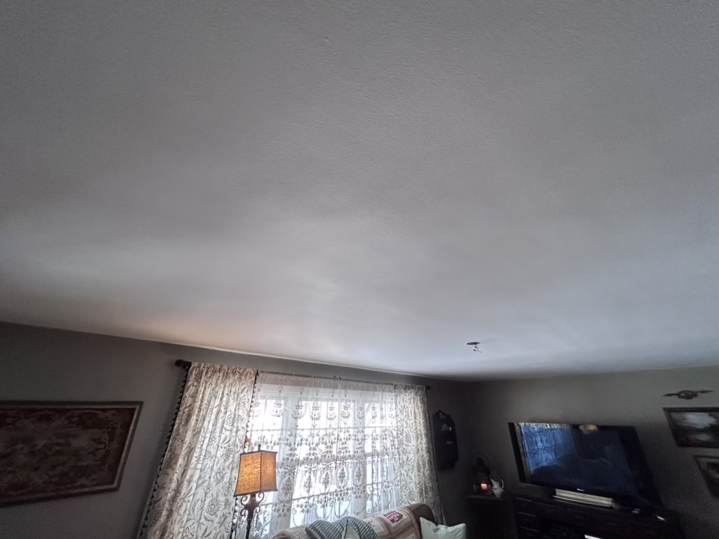 Getzville NY: Ceiling Restoration and Painting