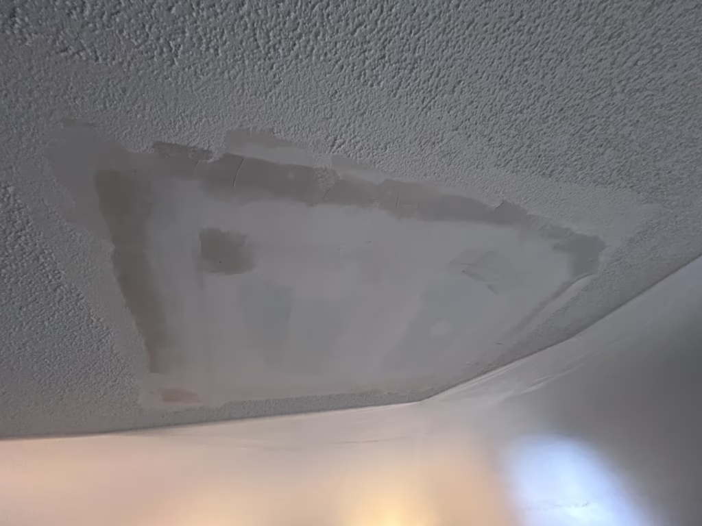 Water Damage Ceiling Repair in West Seneca NY