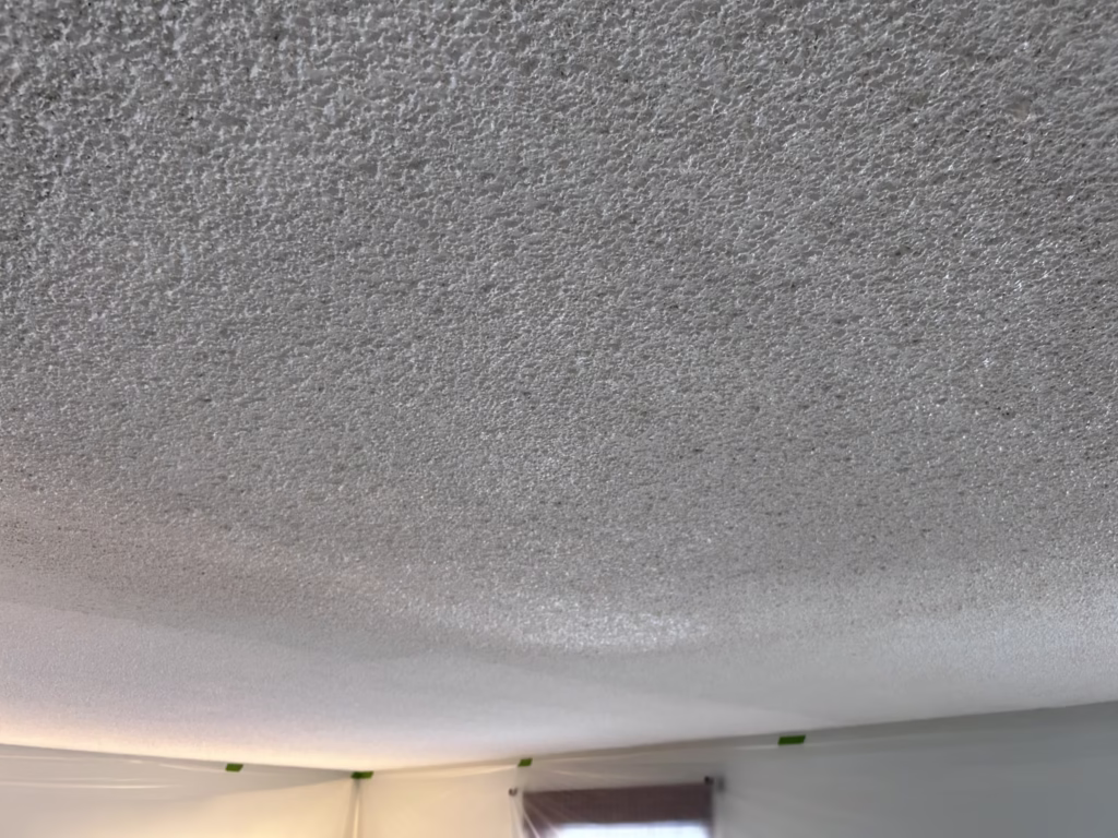 Ceiling Repair Portfolio