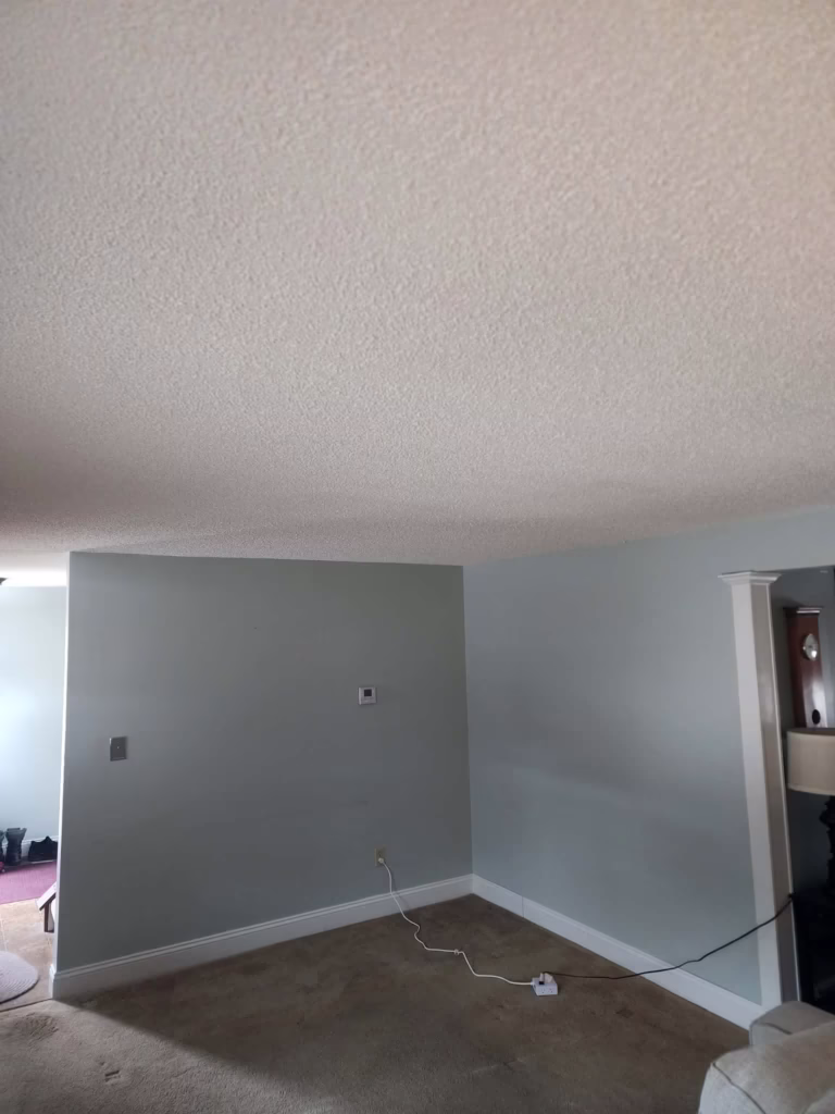 Water Damage Ceiling Repair in West Seneca NY