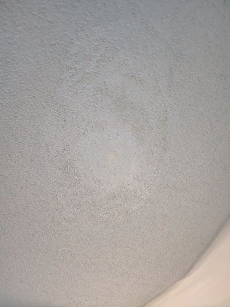 Water Damage Ceiling Repair in West Seneca NY