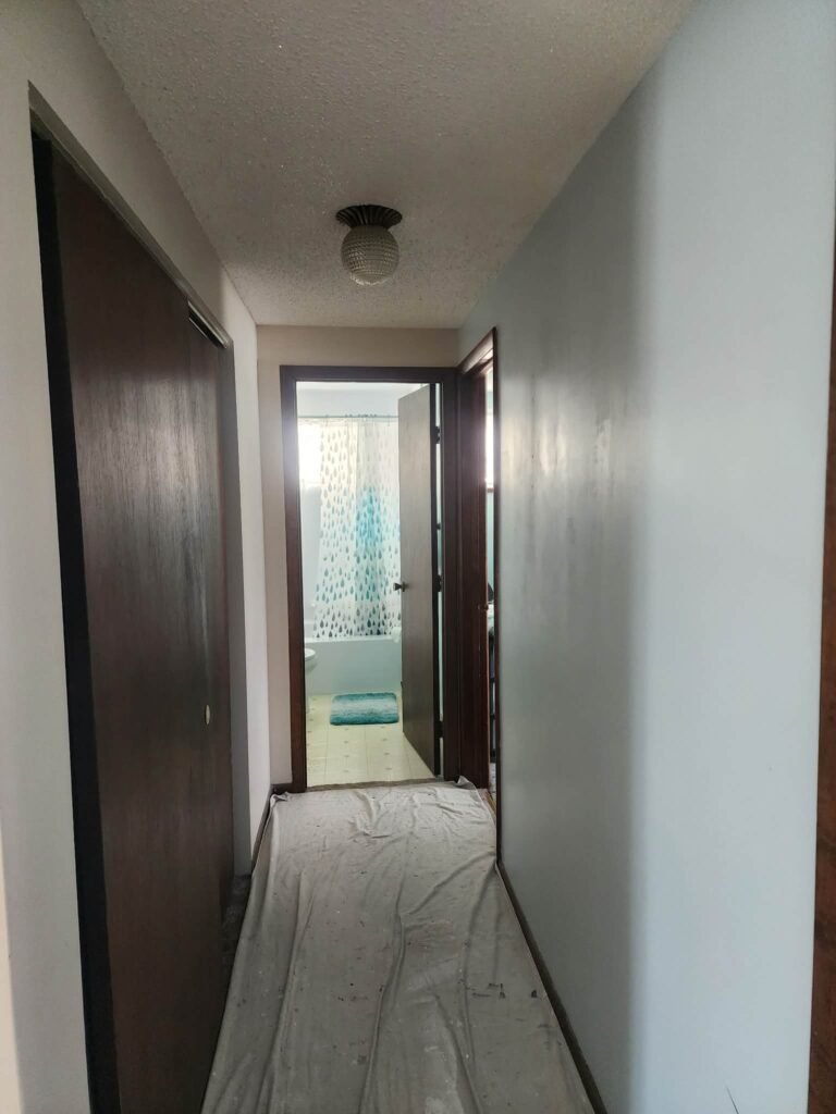 accent wall in hallway before painting of the walls a new color