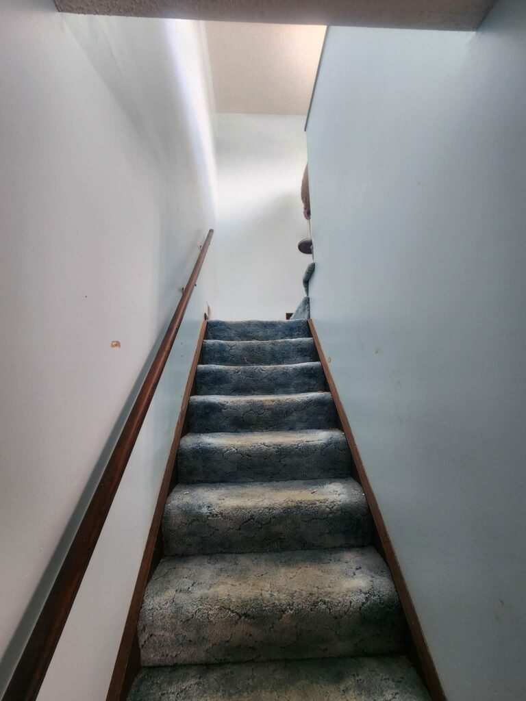 Freshly painted walls in a carpeted stairwell leading upstairs