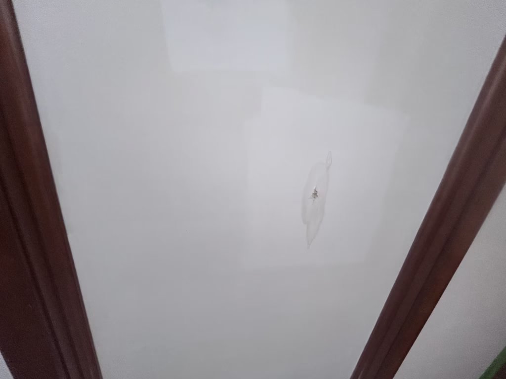 water damage to drywall ceiling