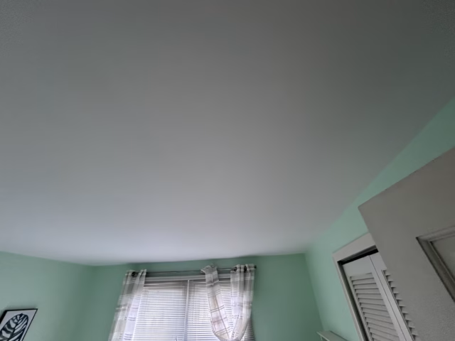 bedroom ceiling painting