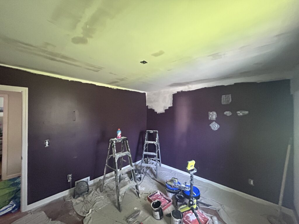 Plaster Ceiling Replacement and Painting