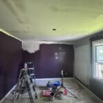 Plaster Ceiling Replacement and Painting