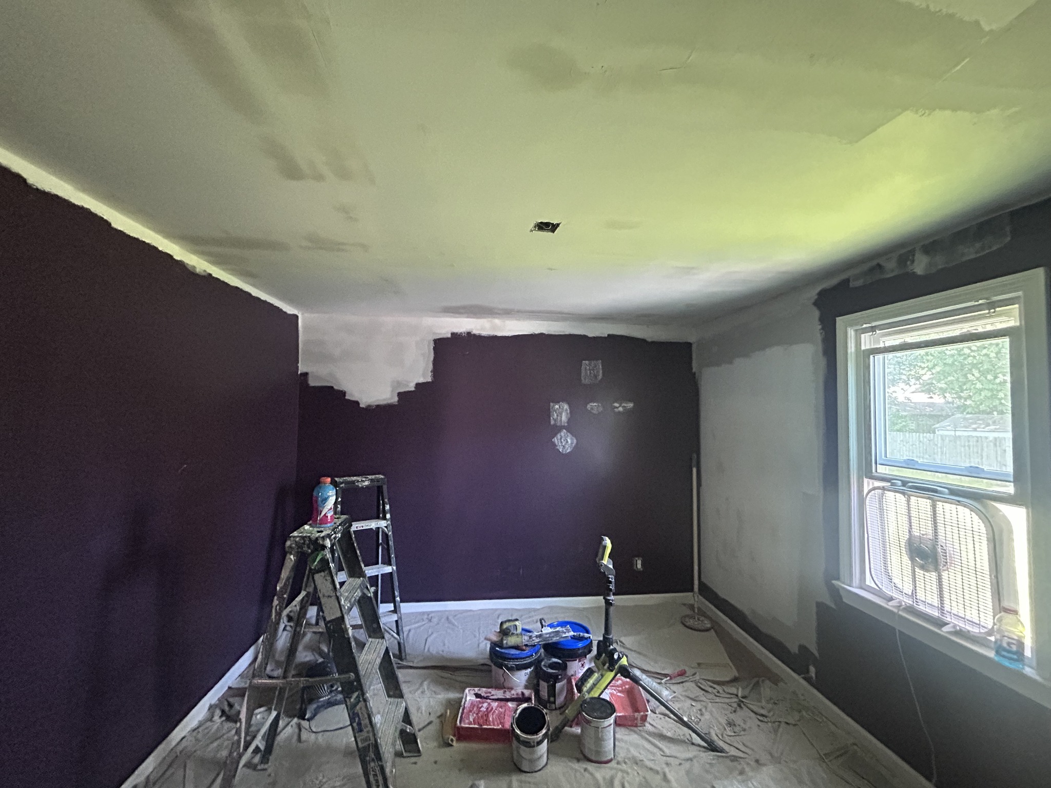 Plaster Ceiling Replacement and Painting