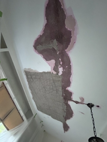 Ceiling Repair Portfolio