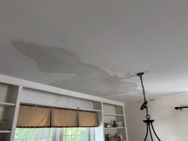 Ceiling Repair Portfolio