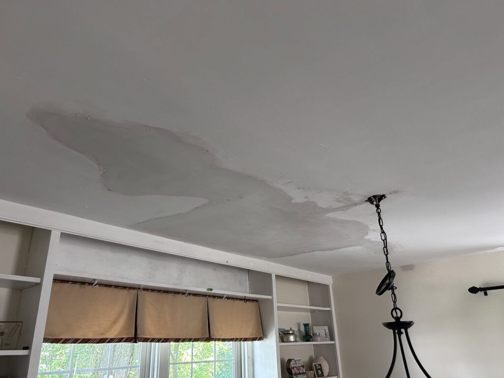 Repairing 5 Water-Damaged Plaster Ceilings - Updated 7/2/26