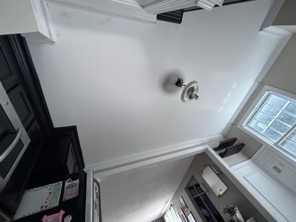 Hidden Beneath an Ugly Tile Ceiling: A Plaster Ceiling Worth Restoring