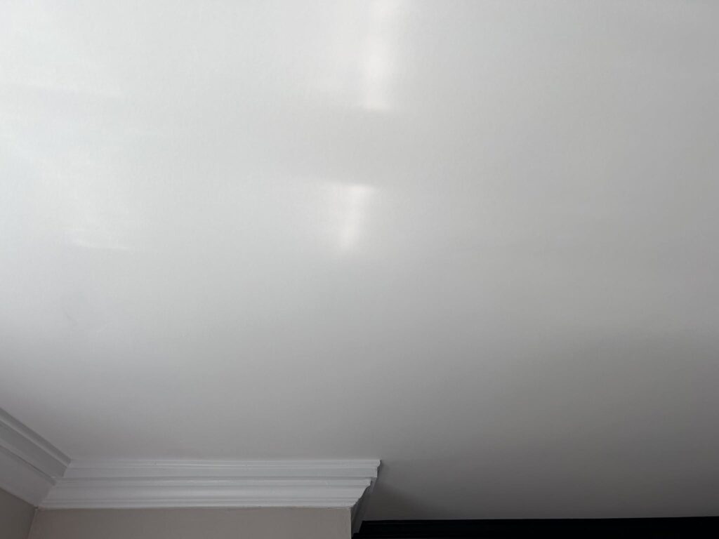 Hidden Beneath an Ugly Tile Ceiling: A Plaster Ceiling Worth Restoring