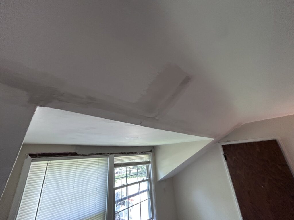 Repairing 5 Water-Damaged Plaster Ceilings - Updated 7/2/26