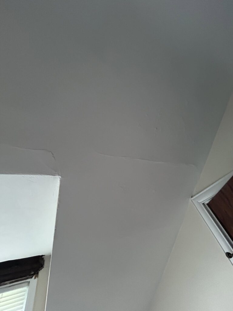 Repairing 5 Water-Damaged Plaster Ceilings in Snyder, NY