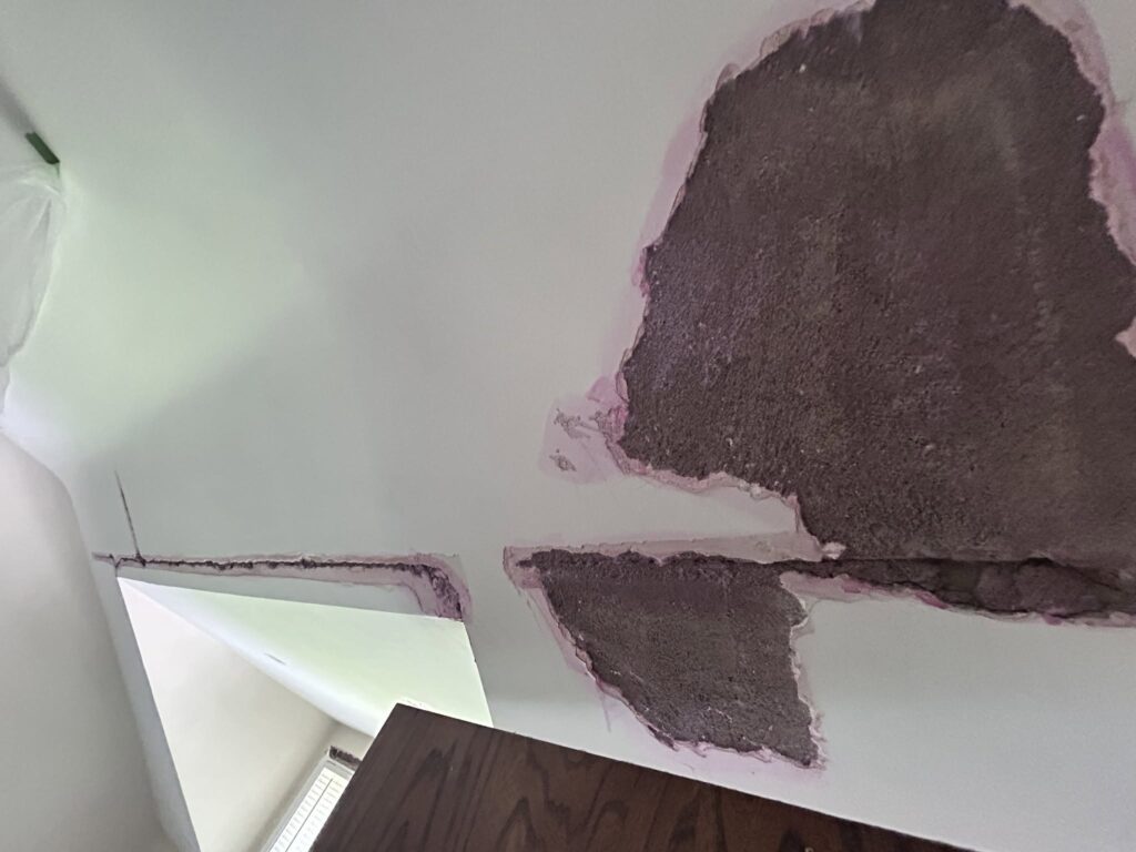 Repairing 5 Water-Damaged Plaster Ceilings in Snyder, NY