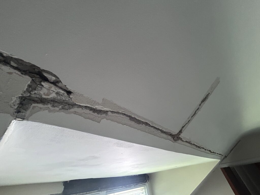 Repairing 5 Water-Damaged Plaster Ceilings in Snyder, NY