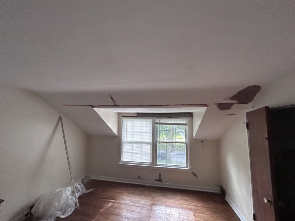 Repairing 5 Water-Damaged Plaster Ceilings in Snyder, NY