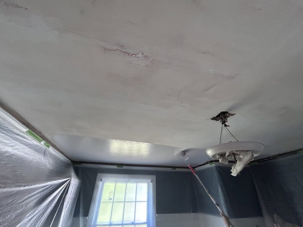 Hidden Beneath an Ugly Tile Ceiling: A Plaster Ceiling Worth Restoring