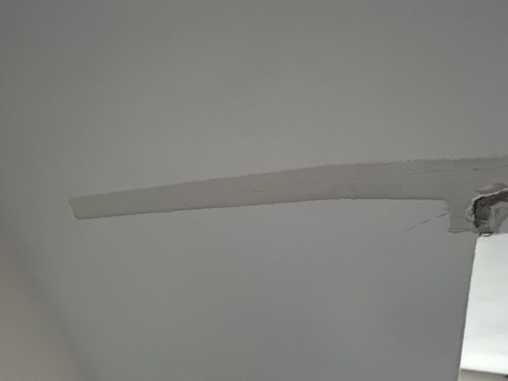 Repairing 5 Water-Damaged Plaster Ceilings in Snyder, NY