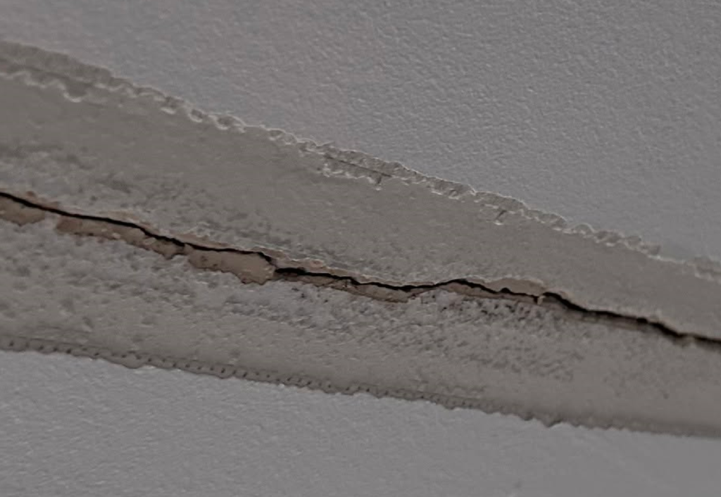 Repairing 5 Water-Damaged Plaster Ceilings in Snyder, NY
