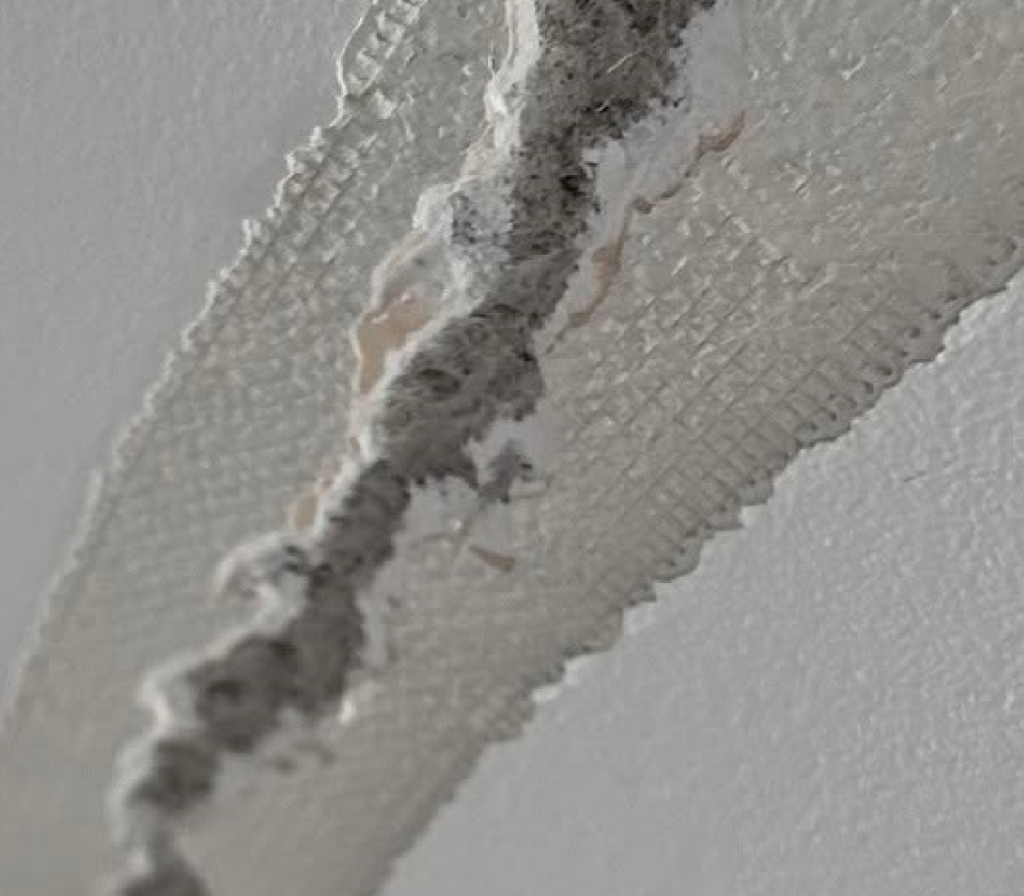 Repairing 5 Water-Damaged Plaster Ceilings in Snyder, NY