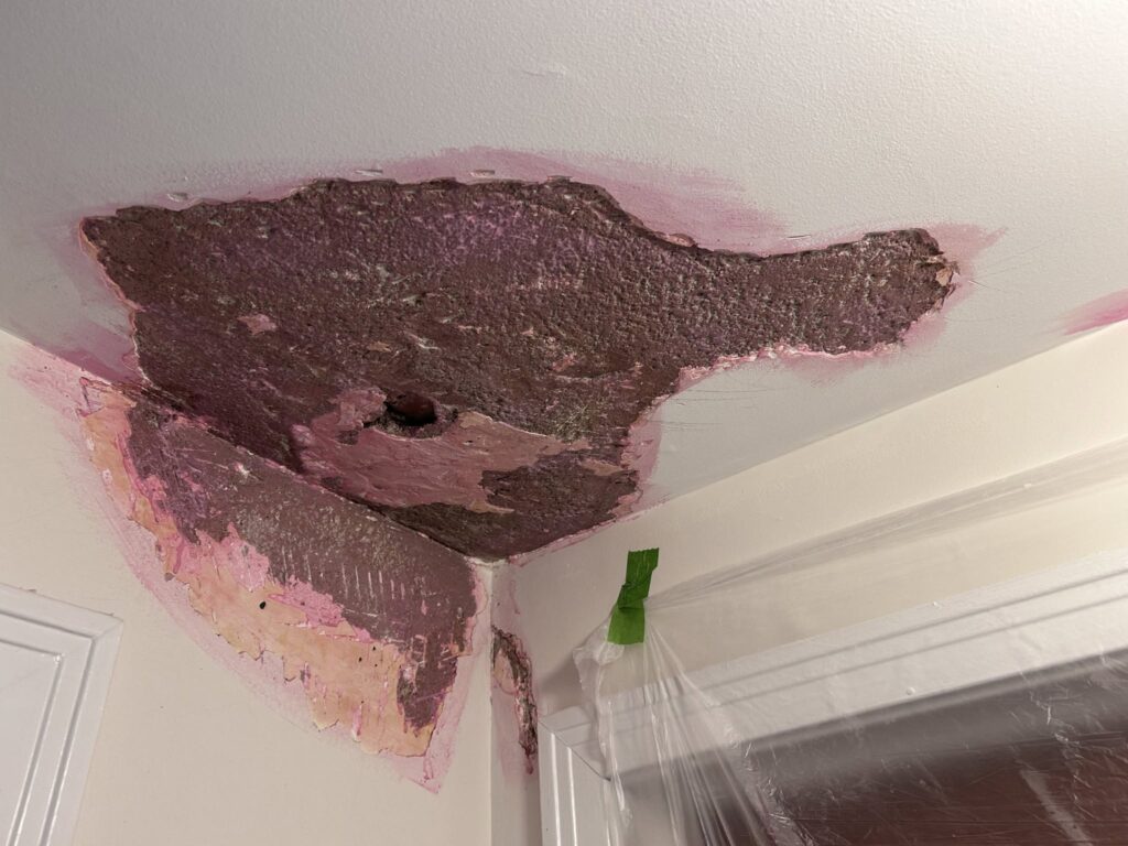 Restoring Bathroom Ceiling After Roof Leak in Snyder